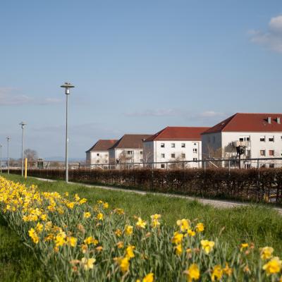 Ostfildern Fruhling 1 Von 3